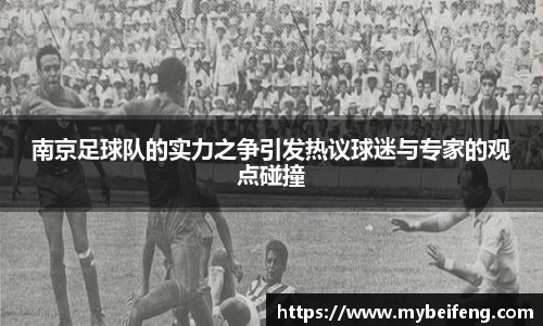 南京足球队的实力之争引发热议球迷与专家的观点碰撞