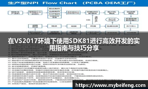 在VS2017环境下使用SDK81进行高效开发的实用指南与技巧分享